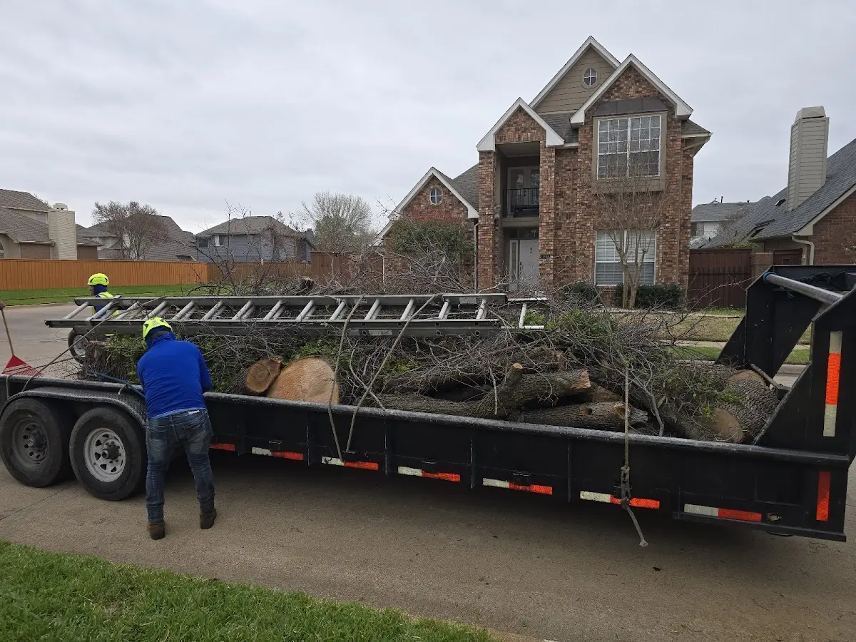Expert Tree Fertilization with proper safety equipment in Hurricane Mills
